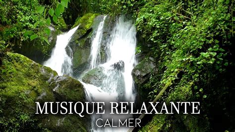 Musique Zen Nature Relaxation Pour Se Détendre Méditation Pour