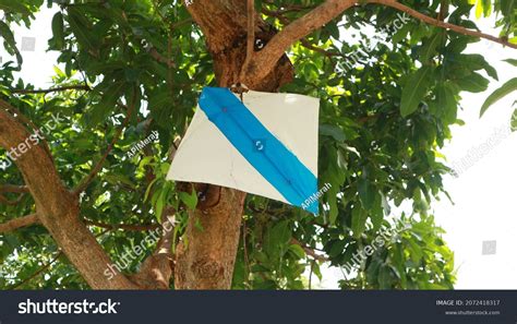 Kite Breaks Gets Stuck Tree Stock Photo 2072418317 | Shutterstock