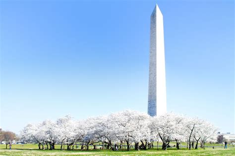 Washington Monument Tickets Visiting Tips And More