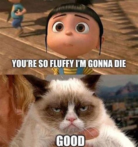 Maybe you would like to learn more about one of these? Grumpy Minions | Despicable Me | Know Your Meme