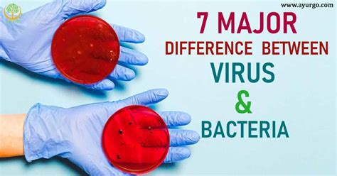 7 Major Difference Between Virus And Bacteria Ayurgo
