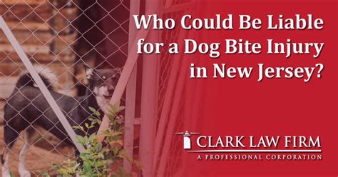 Who Could Be Liable For A Dog Bite Injury In New Jersey Clark Law Firm