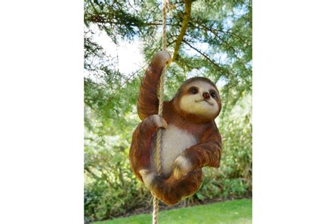 Hanging Garden Sloth The Loft