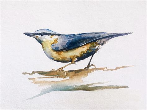 Bird Watercolor Painting Tutorial By Christopher P Jones Medium Bird Watercolor Paintings