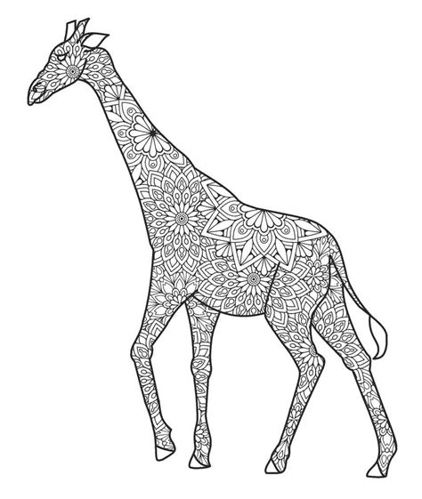 Girafa De Desenho Animado Para Colorir Imprimir E Desenhar Colorirme