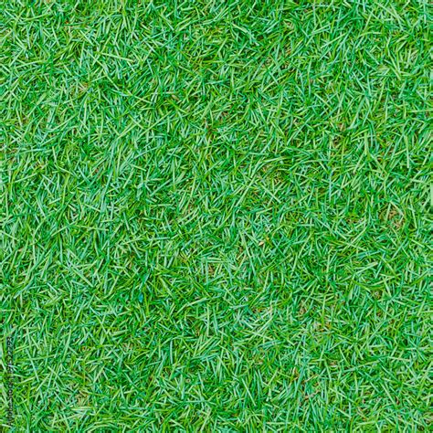 Seamless Green Grass Texture From Golf Course Stock Photo Adobe Stock