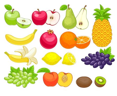 Premium Vector Assorted Fruits Set Illustration