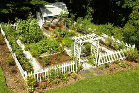 Beautiful Home Vegetable Gardens