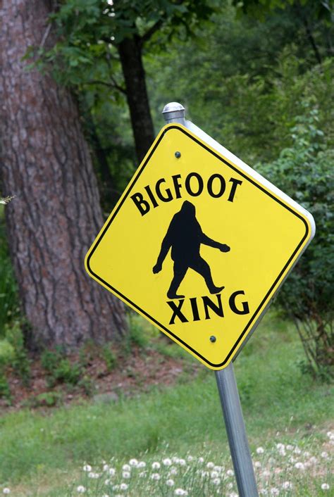 Men Claim Bigfoot Sighting In Ohio Video Goes Viral Fox News
