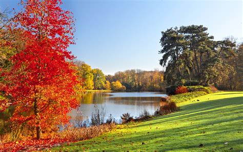 Autumn Park Lake Trees Leaves Nature Scenery Wallpaper