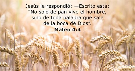 Mateo 44 Versículo De La Biblia