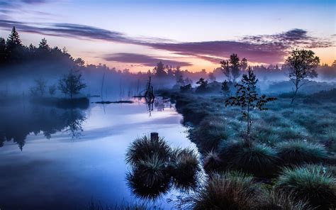 4555687 Landscape Trees Morning Europe Mist River Water Blue