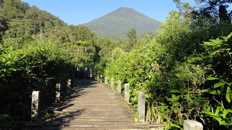 Selain gunung gede pangrango gunung prau adalah menjadi incaran pendaki karena dengan tidak begitu lama mendaki mendapatkan view yang menawan bisa menjadi obat pelipur lara bagi kamu. BEAUTY OF INDONESIA: TAMAN NASIONAL GUNUNG GEDE-PANGRANGO