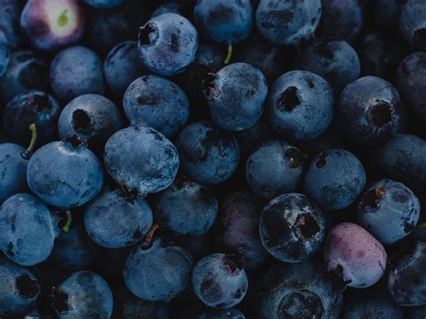 Download 1600x1200 Wallpaper Fresh Blueberries Dark Blue Fruit