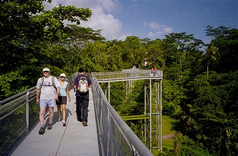 Telok blangah hill park, southern ridges, near alexandra road. Telok Blangah Hill Park, southern ridges | iamcjun | Flickr