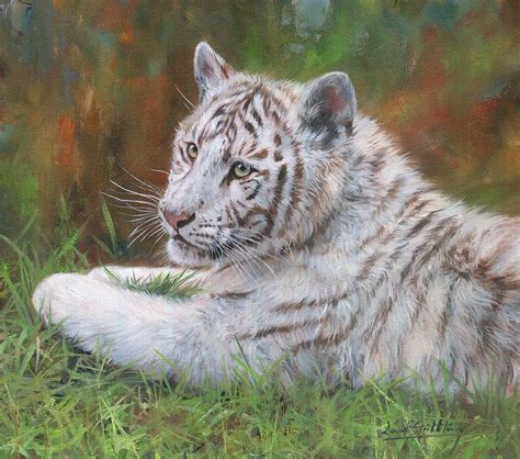 White Tiger Cub Painting By David Stribbling
