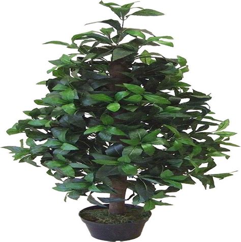 artificial plants 3ft artificial bay tree in a pot pyramid shaped 0 9m indoor plant office