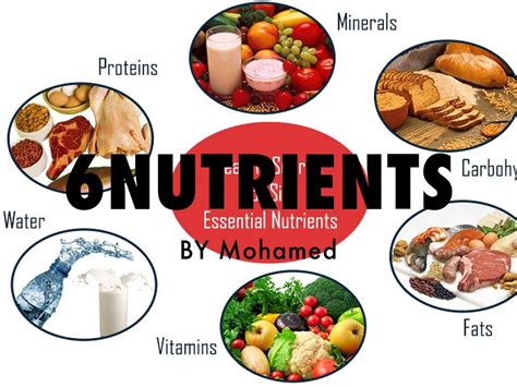 What Are The 6 Nutrients And Examples Mastery Wiki