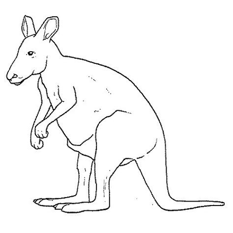 Die besten 25+ Animales salvajes dibujos Ideen auf Pinterest | Dibujos