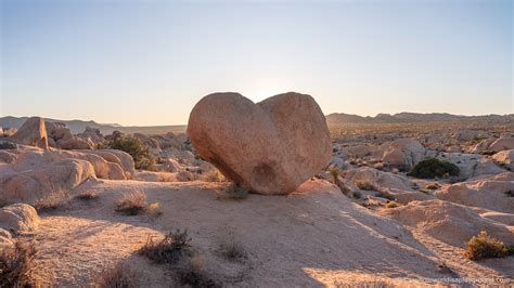 How To Get To Heart Rock Joshua Tree The Whole World Is A Playground