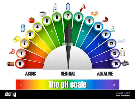 The Ph Scale On White Background Stock Vector Image And Art Alamy