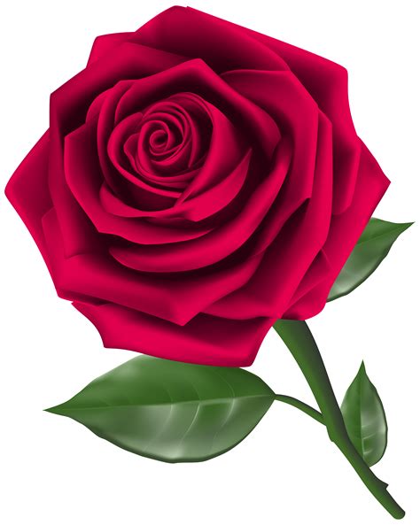 Rose Flower Clip Art Free Rose Svg File Free Transparent Png Images And Photos Finder