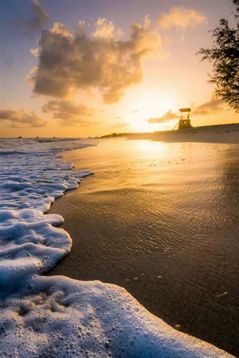 36 Best Images About Barbados Beautiful From Sunrise To