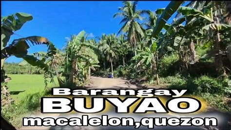 Barangay Buyao Macalelon Quezon Road Trip Youtube