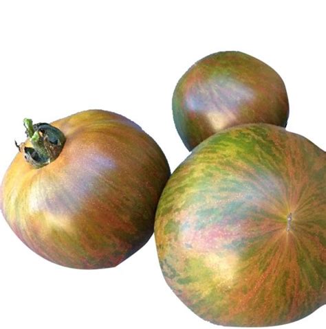 Tomate Ancienne Cassandra Orange Striée Verte Saveur Fruitée