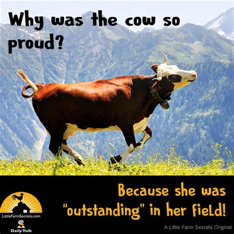 50 Cow Jokes That Will Make You Spit Up Your Milk Artofit