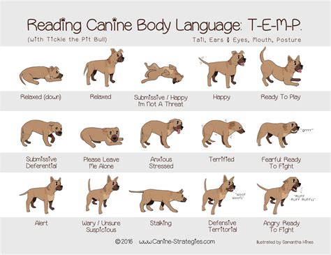 Dog Body Language Chart Pdf