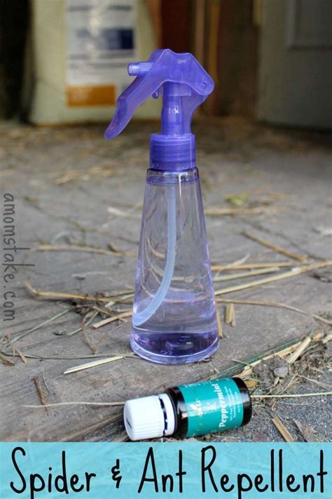 This will kill ants effectively, however, you should always opt for natural or organic ways to control those tiny ants. DIY Spider & Ant Repellent - A Mom's Take