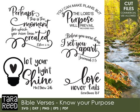 Download Know Your Purpose Bible Verse SVG and Cut Files for ...