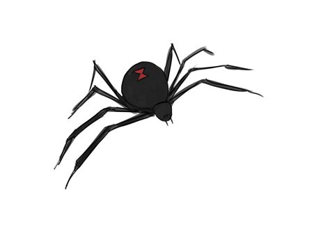 How To Draw A Spider Spider Art Drawings For Kids Drawings