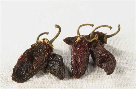 A Guide To 5 Common Types Of Dried Chile Peppers