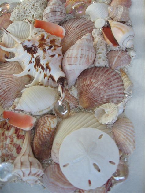 Original Framed Seashell Art Collage On Canvas Coral Brown Etsy