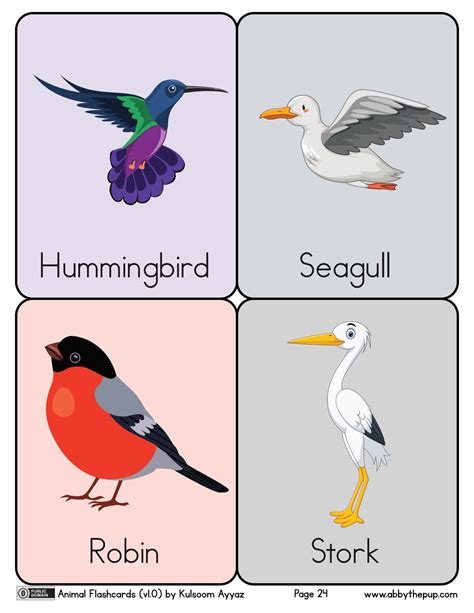 Birds Flashcards Free Printable Papercraft Templates