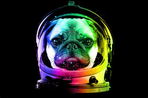 Astronaut Pug Design Dog Lovers By Alpacamytee Creative Thehungryjpeg