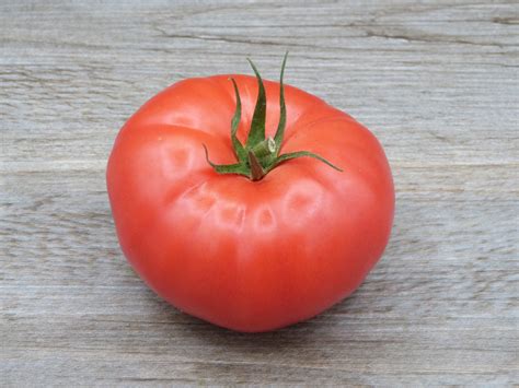 Tomate à farcir