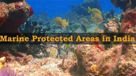 A Complete List Of Marine Protected Areas In India