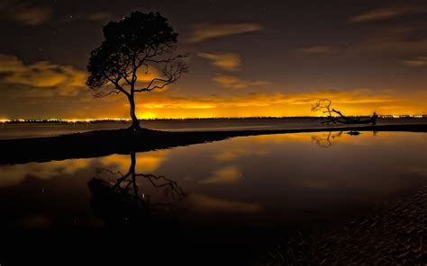 1055291 Sunlight Trees Sunset Sea Water Nature Reflection