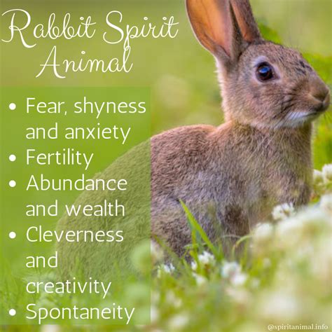 What is the symbolic meaning of the bible? Rabbit Spirit Animal (With images) | Wolf spirit animal ...