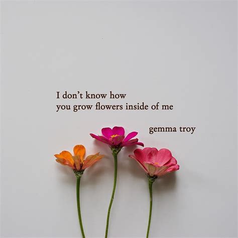 Beautiful Flowers Quotes For Instagram Shortquotes Cc