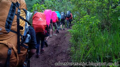 Mendaki Gunung Tips Dan Trik Persiapan Yang Wajib Dilakukan Oleh Pemula Gunung Rinjani
