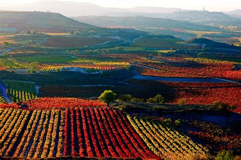 Los 15 Lugares Más Bonitos Que Ver En La Rioja Skyscanner Espana