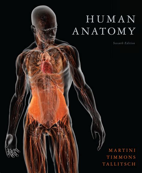 Courses — Human Anatomy