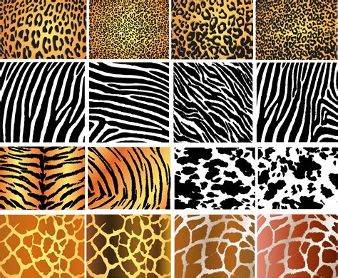 Animal Skin Pattern Clipart 10 Free Cliparts Download Images On