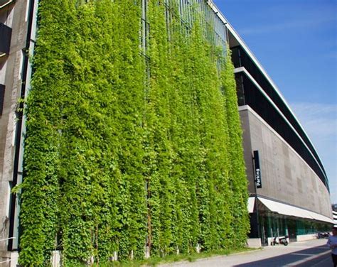 80 Impressive Climber And Creeper Wall Plants Ideas Green Wall Green