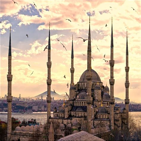 Check spelling or type a new query. 10x10FT Seagull Sea City Sunset Muslim Mosque Masjid ...