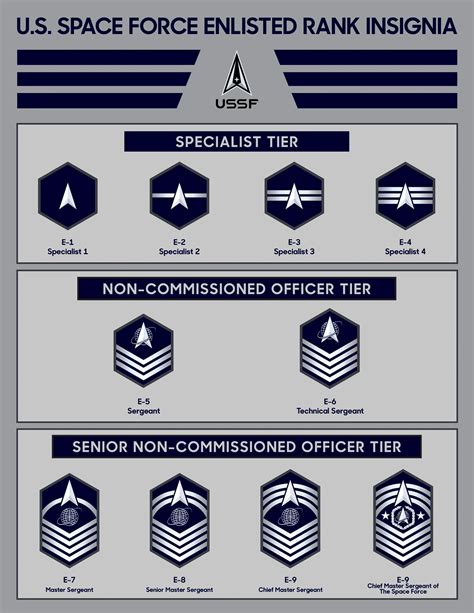 Space Force Reveals Insignia For Enlisted Ranks Air Space Forces Magazine